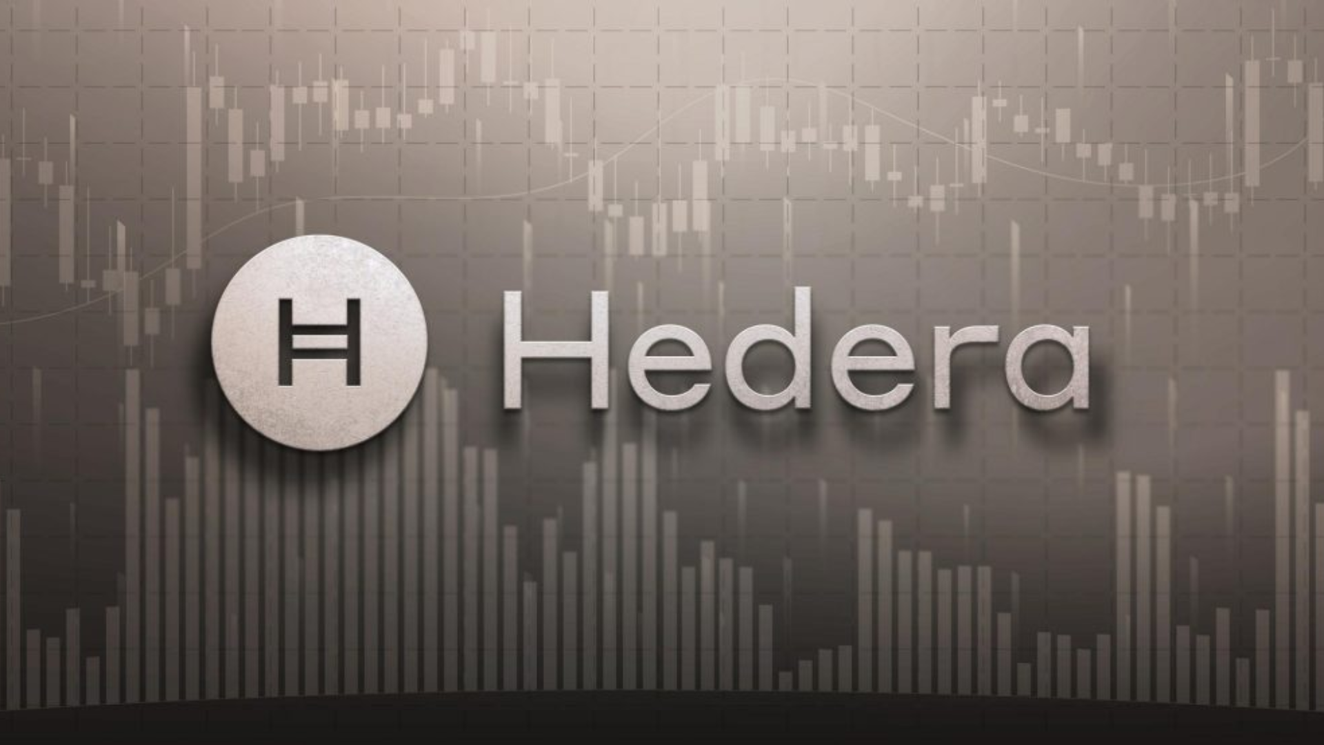 Hedera（ヘデラ）