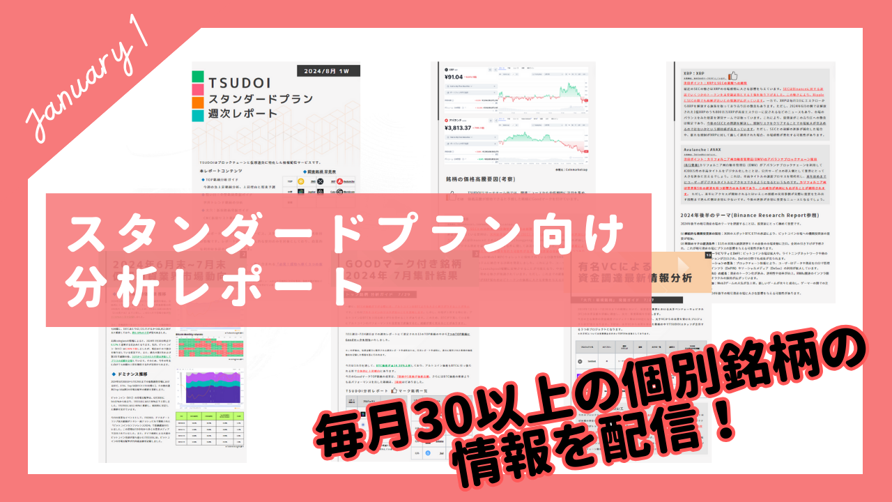 2025年1月度レポート