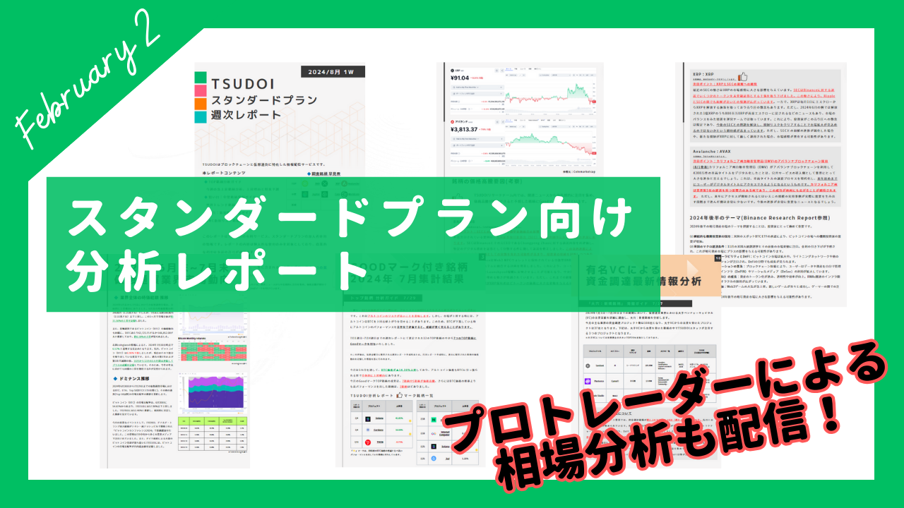 2025年2月度レポート