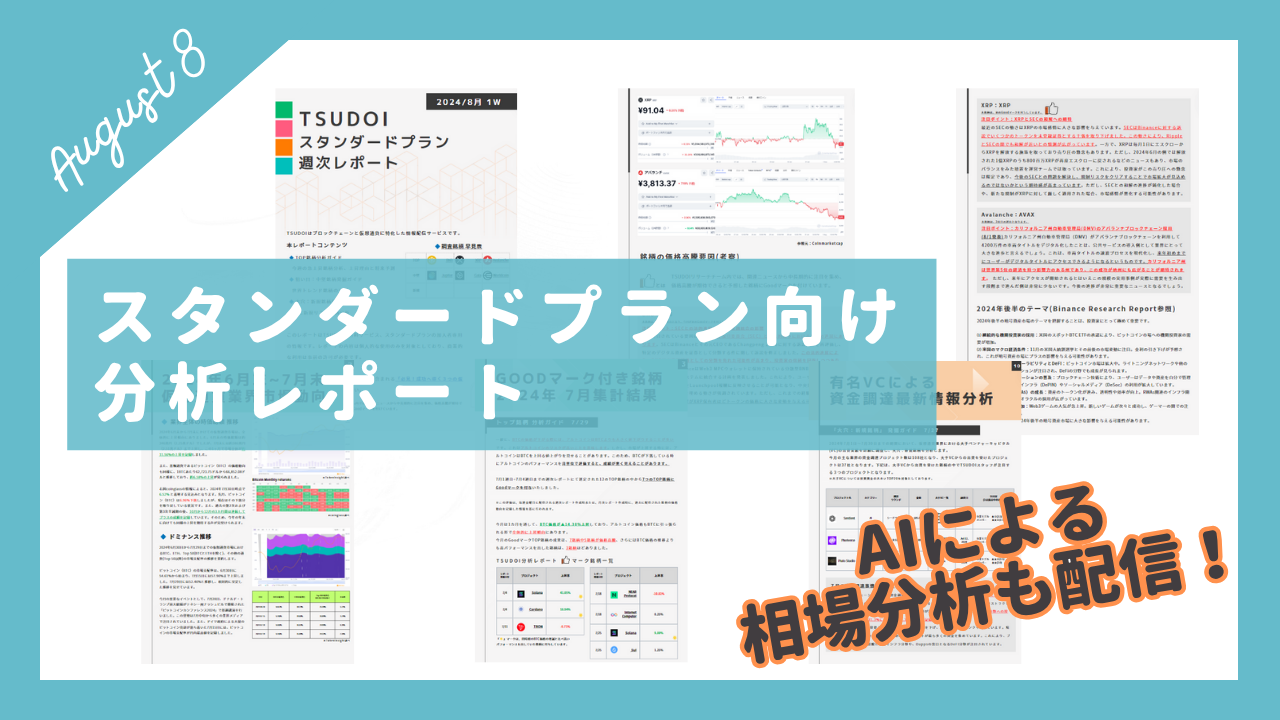 2025年8月度レポート